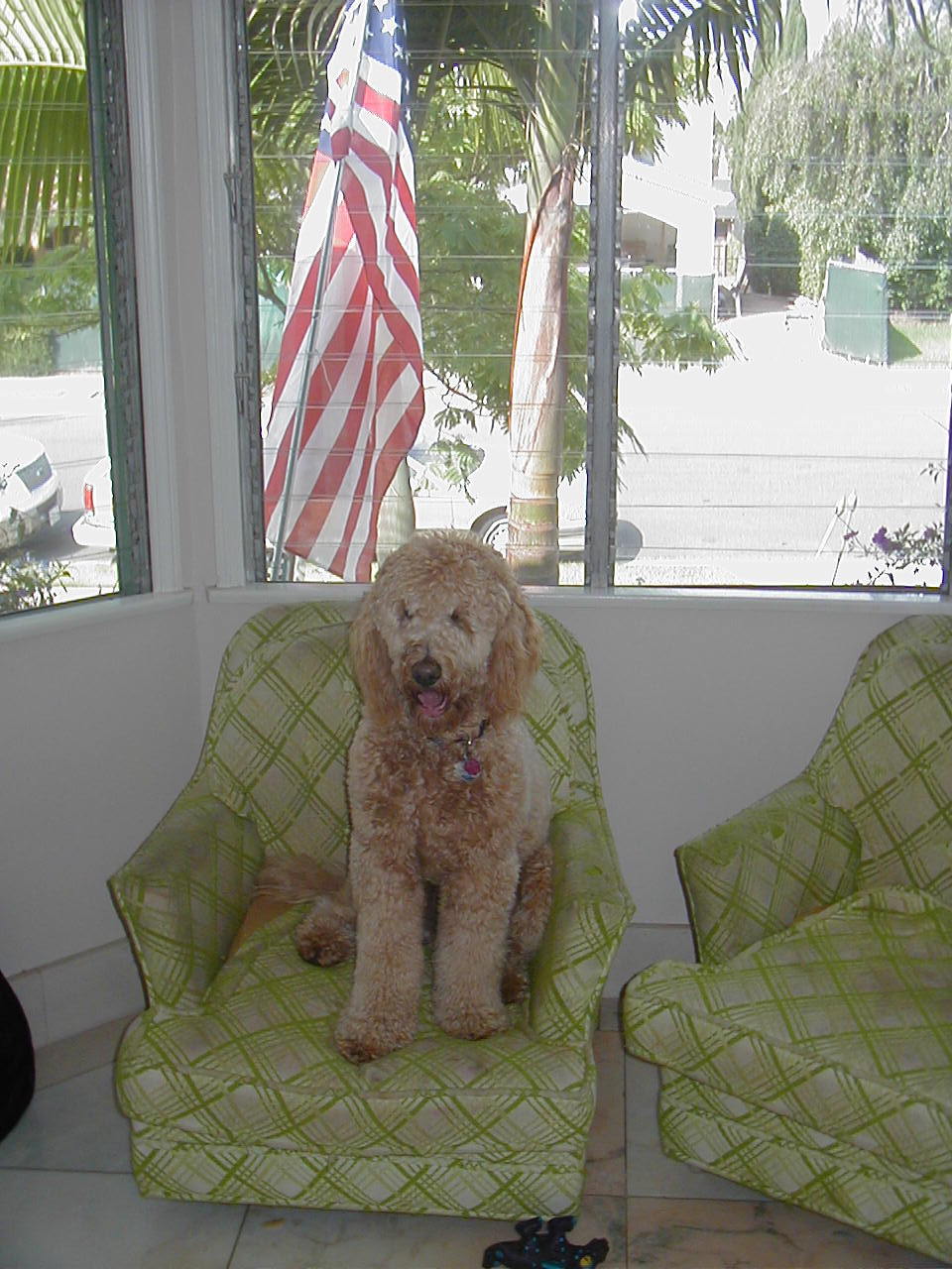 Karen — photo 10